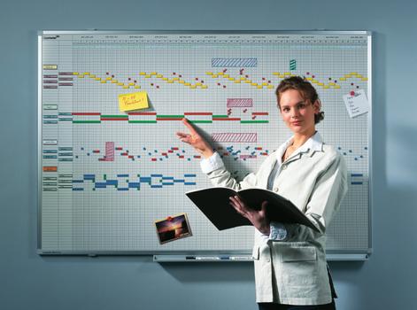 LEGAMASTER PROFESSIONAL year planner 12 months 100x150cm (7-404300)