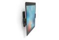 COMPULOCKS s Universal Tablet Cling Wall Mount VESA Compatible - Mounting kit (wall mount) - for tablet - black - screen size: up to 13" - mounting interface: 100 x 100 mm