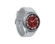 SAMSUNG Galaxy Watch6 Classic 43mm 4G Silver (SM-R955FZSAEUB)