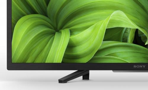 SONY 32" Professional BRAVIA with Tuner (FWD-32W8001)