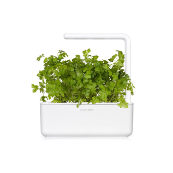Click & Grow Smart Garden Refill 3-pack - Plain Parsley (SGR68X3)