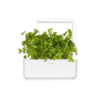 Click & Grow Smart Garden Refill 3-pack - Plain Parsley (SGR68X3)