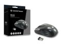 CONCEPTRONIC Maus CLLM5BTRVWL Wireless optical (CLLM5BTRVWL)