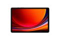 SAMSUNG GALAXY TAB S9 ENTERPRIC 128GB GRAY SYST (SM-X716BZAAEEB)