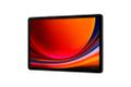 SAMSUNG GALAXY TAB S9 ENTERPRIC 128GB GRAY SYST (SM-X716BZAAEEB)