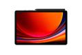 SAMSUNG GALAXY TAB S9 ENTERPRIC 128GB GRAY SYST (SM-X716BZAAEEB)