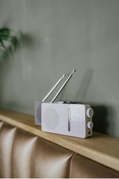 SANGEAN SR-36 Black AM/FM Analog Pocket Radio with built-in speaker (A500454)