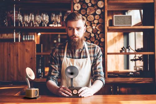 SANGEAN WR-45 White (Euphonic 450) FM / Bluetooth / AUX-in Receiver (A500433)