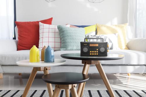 SANGEAN PR-D17 AM/FM-RDS Stereo Digital Radio +Voice prompts (A500431)