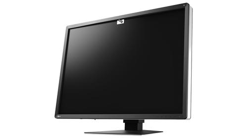 EIZO 12MP EIZO RADIFORCE RX1270 31IN MAMMOGRAPHY SELFQC MNTR (RX1270)