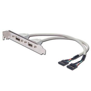DIGITUS USB SLOT BRACKET CABLE. 2X TYPE A-2X5PIN IDC CABL (AK-300301-002-E)