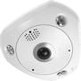 LEVELONE Security Camera Spherical Ip