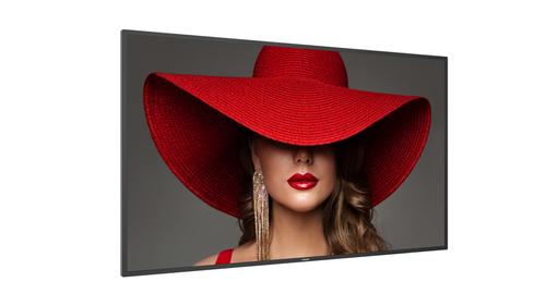 PHILIPS 65? D-Line UHD 24/7 landscape & port (65BDL4650D/00)