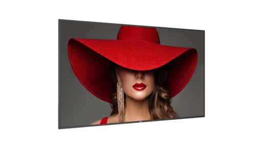 PHILIPS 75" D-Line (75BDL4650D/00)