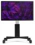 Ctouch Wallom3 Skjermstativ Mobilt el. hev/senk Max Vesa 800x600