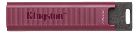 Kingston DataTraveler Max - USB-flashstasjon - 256 GB (DTMAXA/256GB)