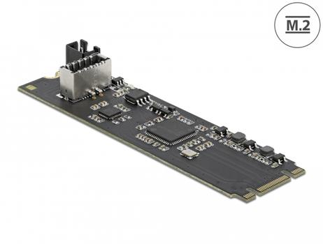 DELOCK Converter M.2 Key B+M male to 1 x internal USB 3.2 key A 20 (63330)
