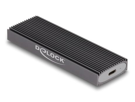 DELOCK External USB-C Combo Enclosure for M.2 NVMe PCIe or SATA SSD (42019)