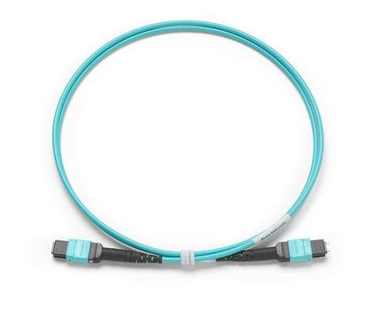 FLUKE NETWORKS 1m Test Cord MPO/MPO,  (TRC-MPO-UP-B)