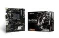 BIOSTAR Motherboard Amd B450 Socket