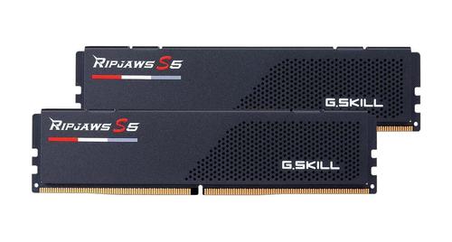 G.SKILL 24Gx2-Rs5K Memory Module 48  (F5-5200J4040A24GX2-RS5K)