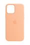 APPLE 12 ProM Silicone MagSafe Cantaloup
