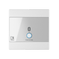 AUDAC WP220/W ARES5/MTX/AMP523 Bluetooth panel universal