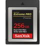 SANDISK Extreme Pro 256 Gb 