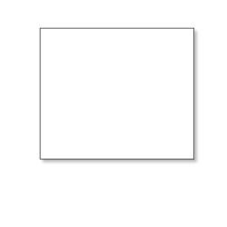 SEIKO White (SLP-ZIP             )