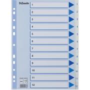 ESSELTE Indices  PP A4 1-12 White