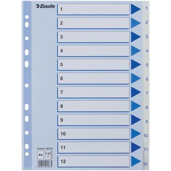 ESSELTE Indices PP A4 1-12 white (100136*10)