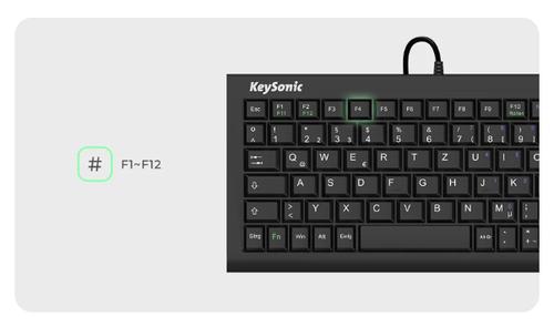 KEYSONIC Keyboard Office Usb Qwertz  (ACK-3401U)