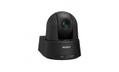 SONY Color Video Camera Black (SRG-A12BC)