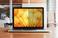 3M Bright Screen Privacy Filter - notebookpersonvernsfilter (horisontal) (BPNDE001)