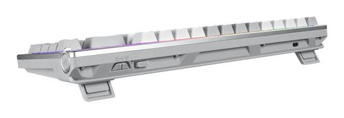 ASUS ROG AZOTH MOONLIGHT WHITE 75% Wireless DIY Custom RGB Gaming Keyboard, NX Red Switches, OLED Display, PBT (90MP031A-BKNA11)