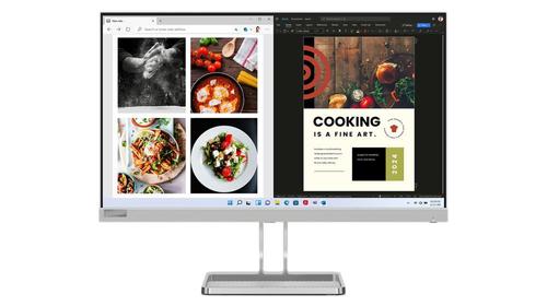 LENOVO L24I-40 Led Display 60.5 Cm  (67A8KAC3EU)