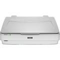 EPSON Expression 13000XL Scanner 2400x4800dpi A3