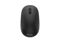 PHILIPS s SPK7307B - 3000 Series - mouse - ergonomic - right and left-handed - optical - 3 buttons - wireless - 2.4 GHz - USB wireless receiver