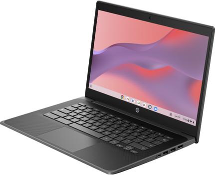 HP Fortis14G11 N100 14 8GB/64 PC Netherlands - Dutch localization (5P9M8EA#ABH)