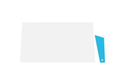 PANASONIC LCD Protective Film (FZ-VPF39U)