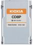KIOXIA X121 CD8P-R dSSD 1.9TB U.2 PCIe SIE