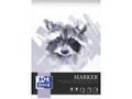 Oxford International Kunstblok Oxford t/filtpen A4 15ark 180g limet