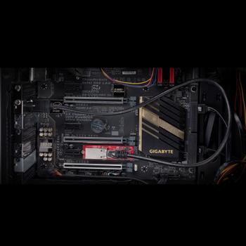 STARTECH 1-Port 2.5GbE 2280m.2 Network Card NBASE-T PCIe Ethernet Intel I225-V Multi-Gigabit SFF/ Desktop PC LAN Card (MR12GI-NETWORK-CARD)