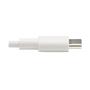 TRIPP LITE e Lightning to USB C Sync / Charging Cable Apple iPhone iPad USB Type C USB-C USB Type-C 3ft - USB cable - 24 pin USB-C (M) to Lightning (M) - USB 2.0 - 20 V - 3 A - 90 cm - white (M102-003-WH)
