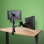 R-GO Tools R-GO Caparo D2 circular dual monitor arm desk mount, gas lif