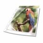 DURABLE Sheet Protector A4