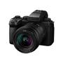 PANASONIC Lumix S5m2x 20 - 60Mm Kit