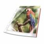 DURABLE Sheet Protector A4