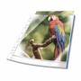 DURABLE Sheet Protector A4