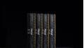 KINGSTON 128GB 6400MT/S DDR5 ECC REG CL32 DIMM (KIT OF 8) FURY RENEGADE PRO EXPO (KF564R32RBEK8-128)